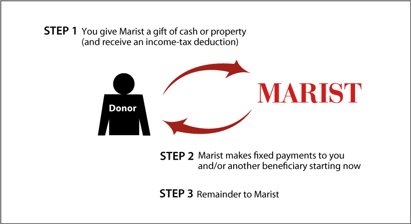 Immediate-Payment Charitable Gift Annuity Diagram